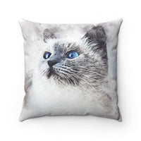 Gazing Cat Faux Suede Square Pillow