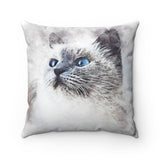 Gazing Cat Faux Suede Square Pillow