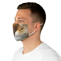 Calico Cat Mask