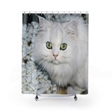 Curious Cat Shower Curtain