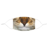 Calico Cat Mask