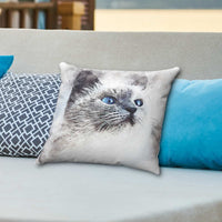 Gazing Cat Faux Suede Square Pillow