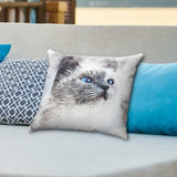 Gazing Cat Faux Suede Square Pillow